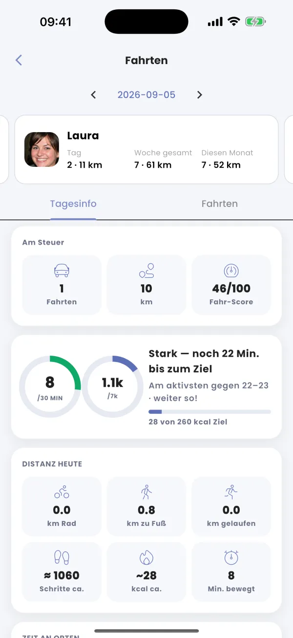 Der Fahrwert