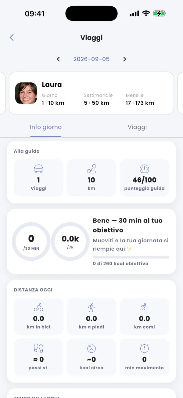 Il punteggio di guida
